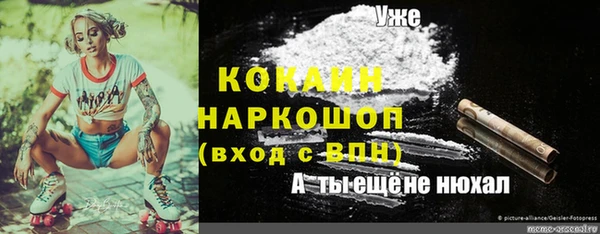 mdpv Алзамай