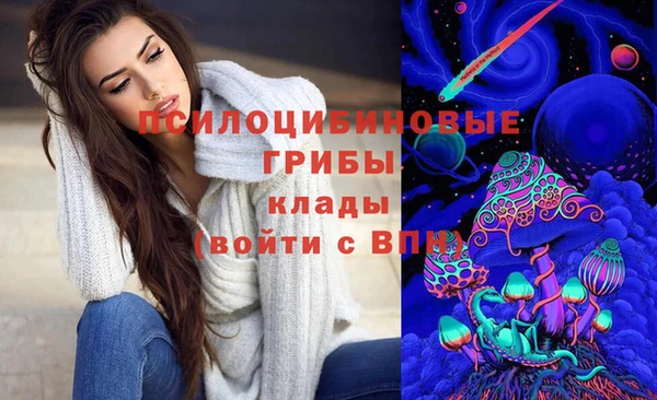 бошки Абдулино