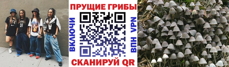 Псилоцибиновые грибы мицелий  kraken вход  Нижний Новгород 
