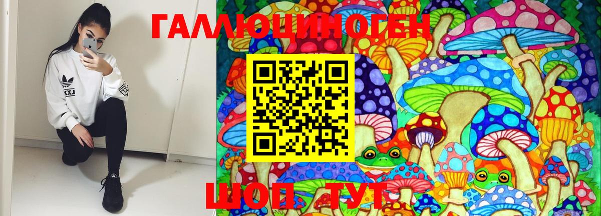 Нижний Новгород  Псилоцибиновые грибы Cubensis  наркота  Вход с VPN 